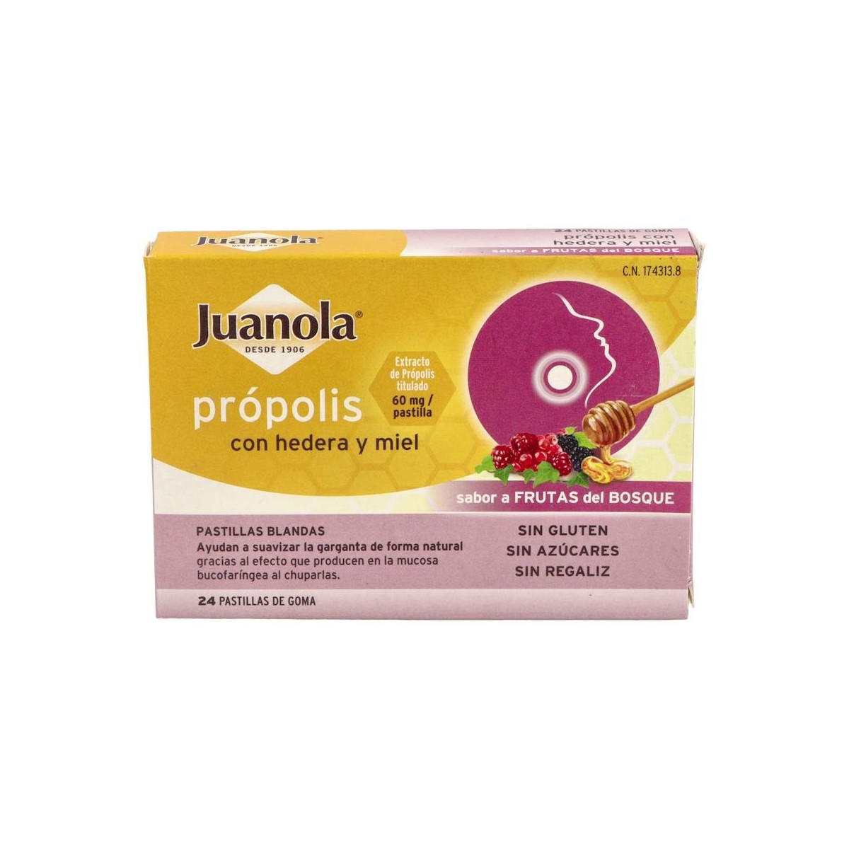 Past Juanola Propolis Hedera Miel F Bosque 24 Past