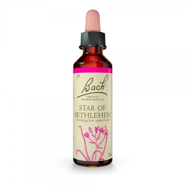 FLORES BACH STAR OF BETHLEHEM 20 ML